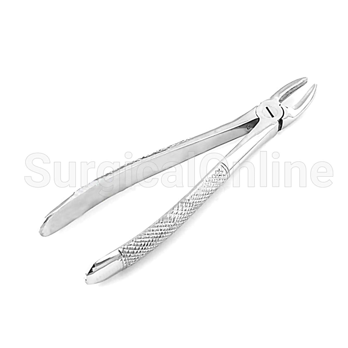 English Extracting Forceps Md2