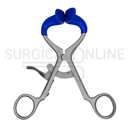Molt Mouth Gag 5.5″ Adult With Blue PVC Tip