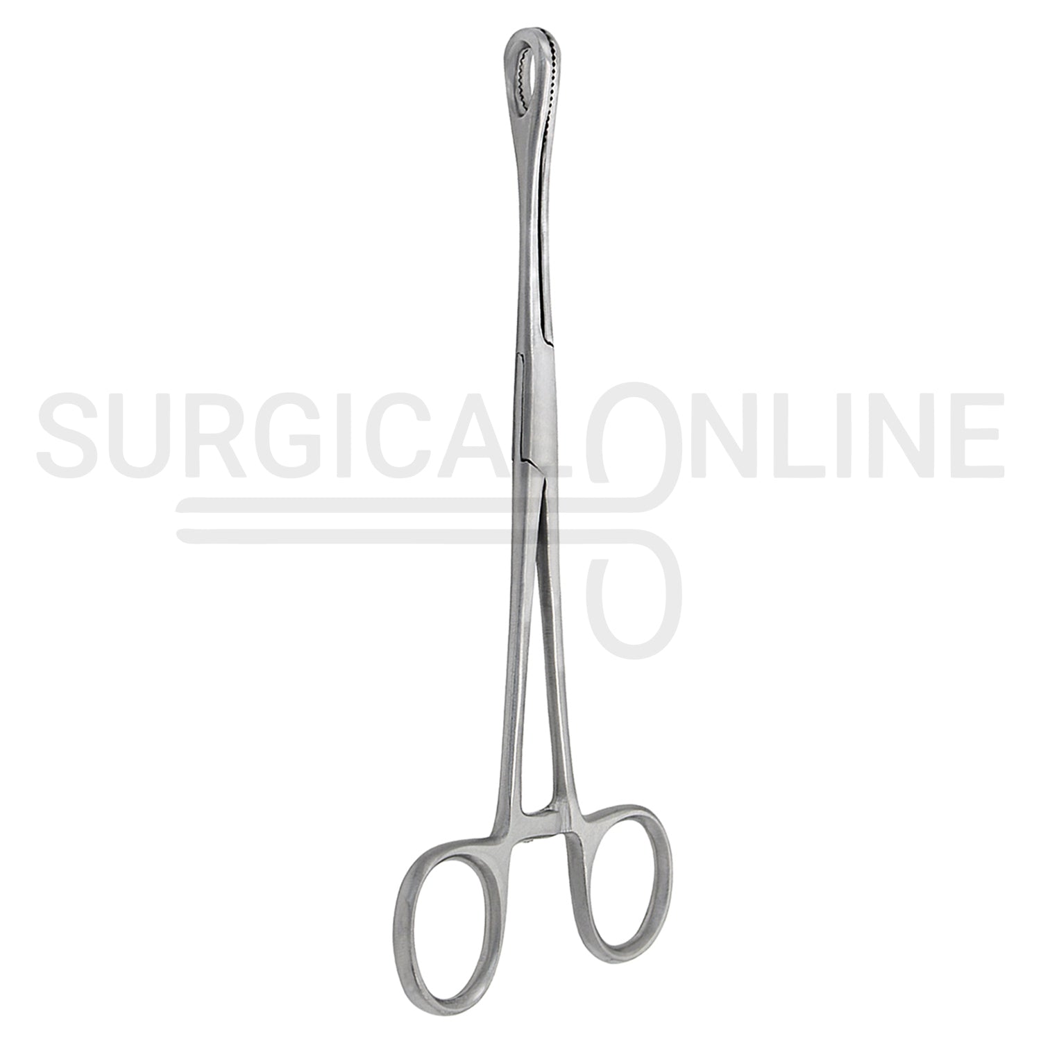 Foerster Sponge Forceps Serrated Straight 9.50"