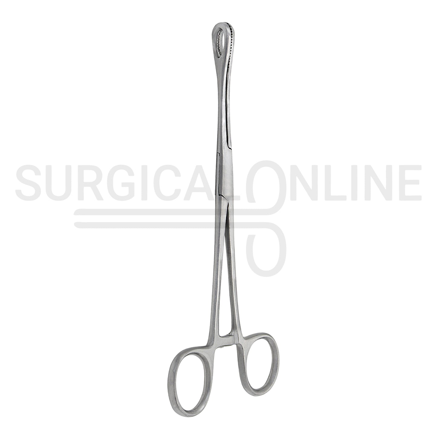 Foerster Sponge Forceps Serrated Straight 7.00"