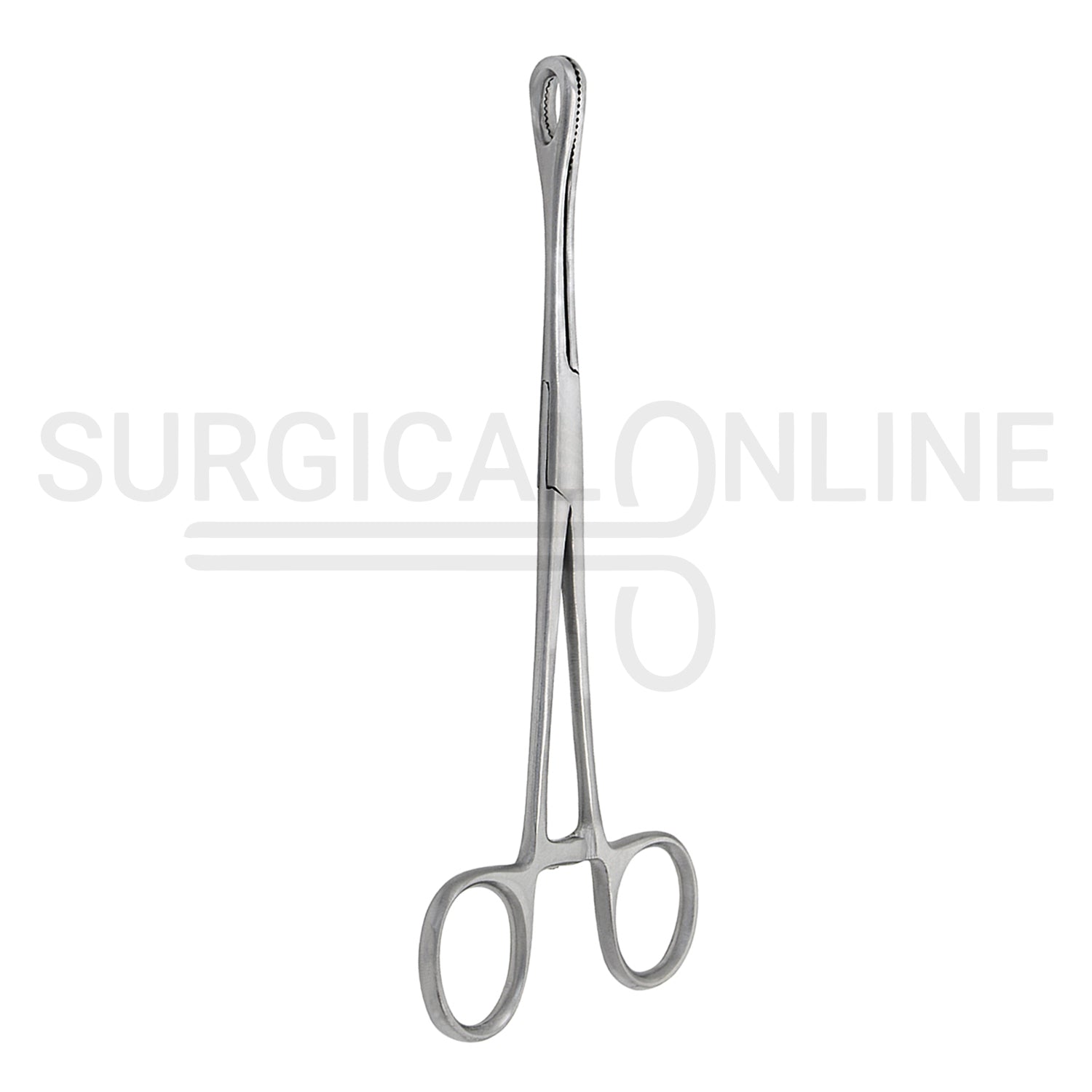 Foerster Sponge Forceps Serrated Straight 7.00"