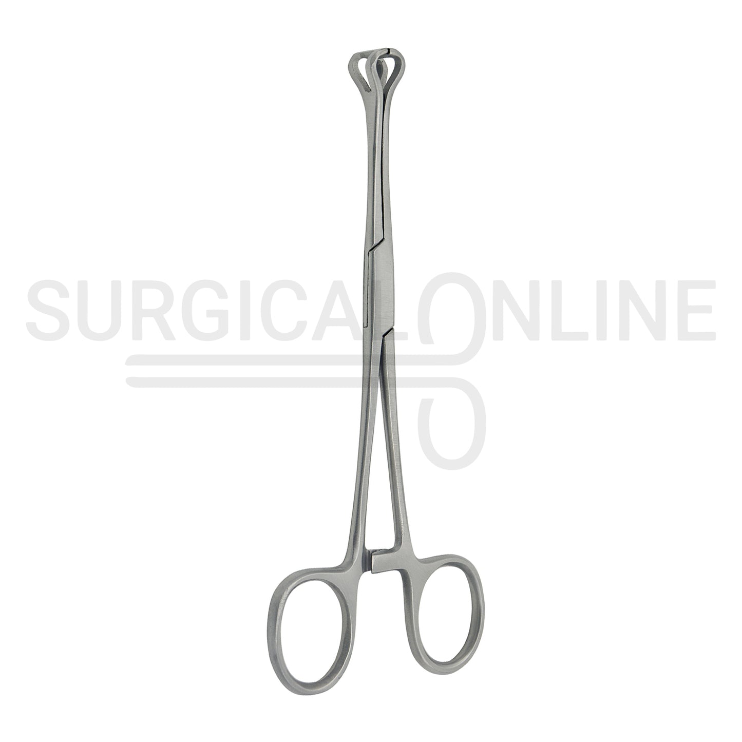 Babcock Intestinal Tissue Forceps 6.25″