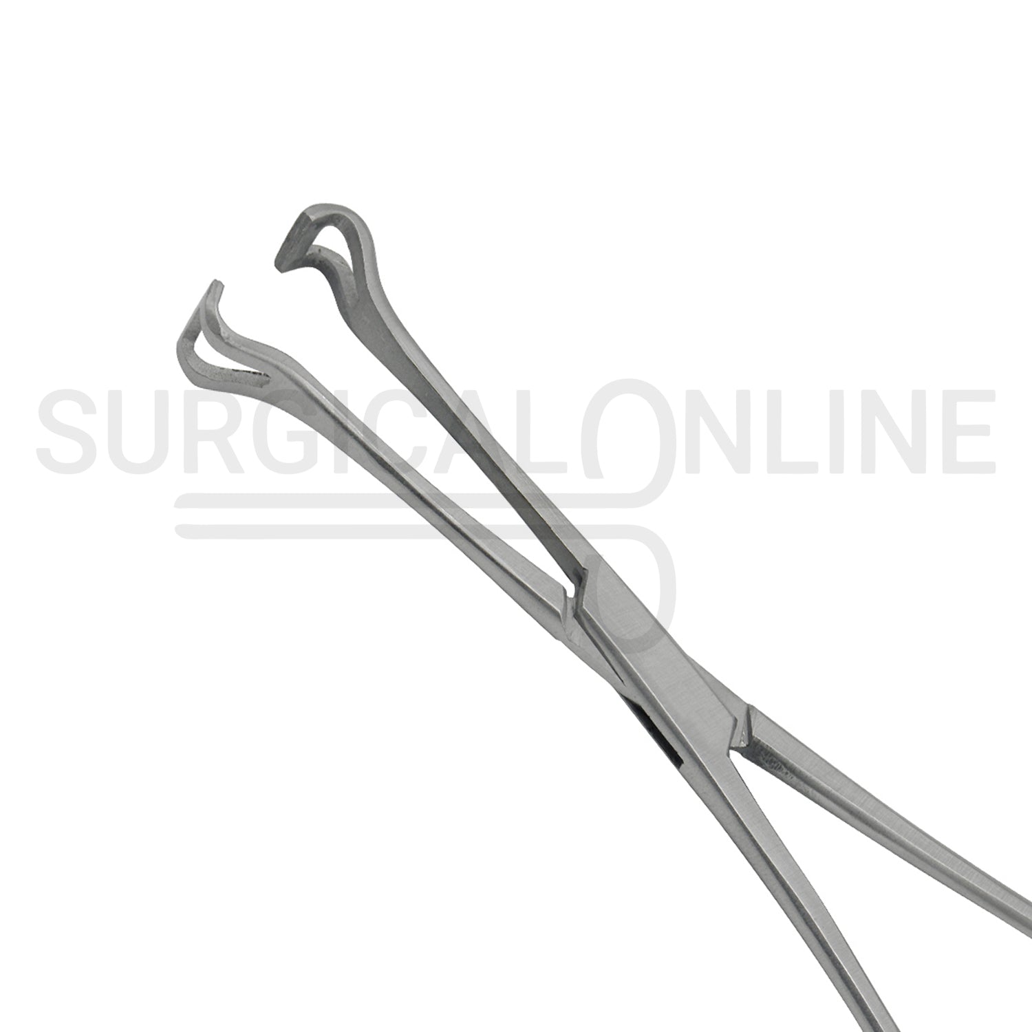 Babcock Instestinal Tissue Forceps 8.25"