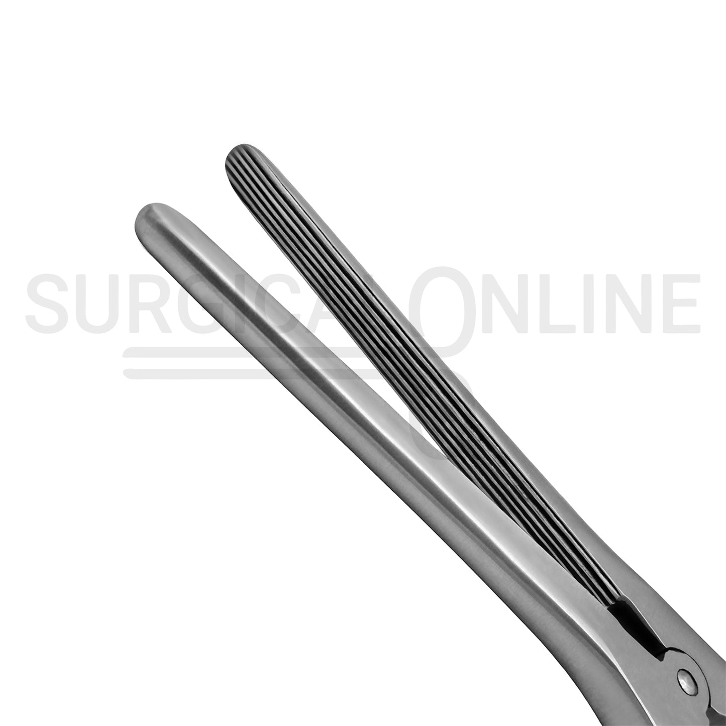 Baby Payr Pylorus Clamp 6.00"