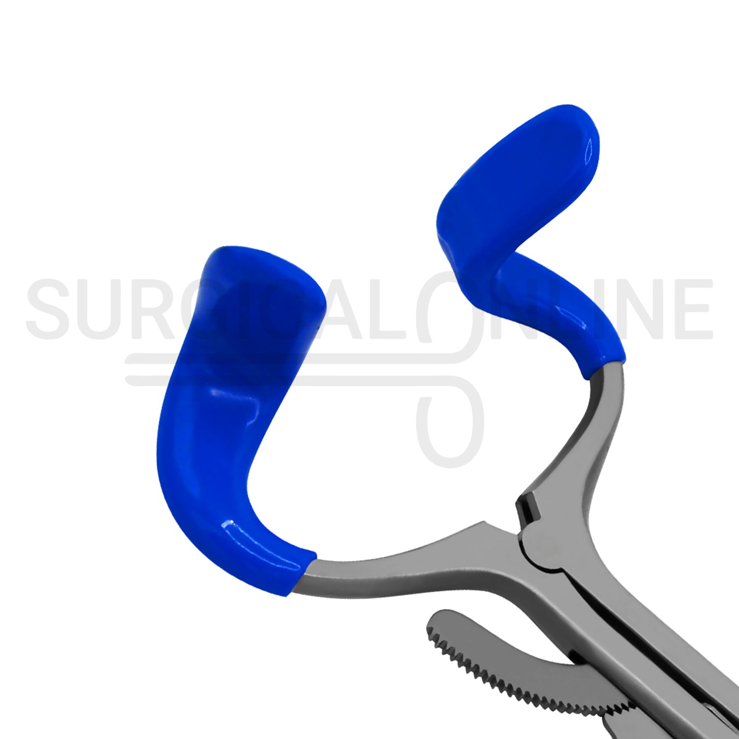 Molt Mouth Gag 5.5″ Adult With Blue PVC Tip