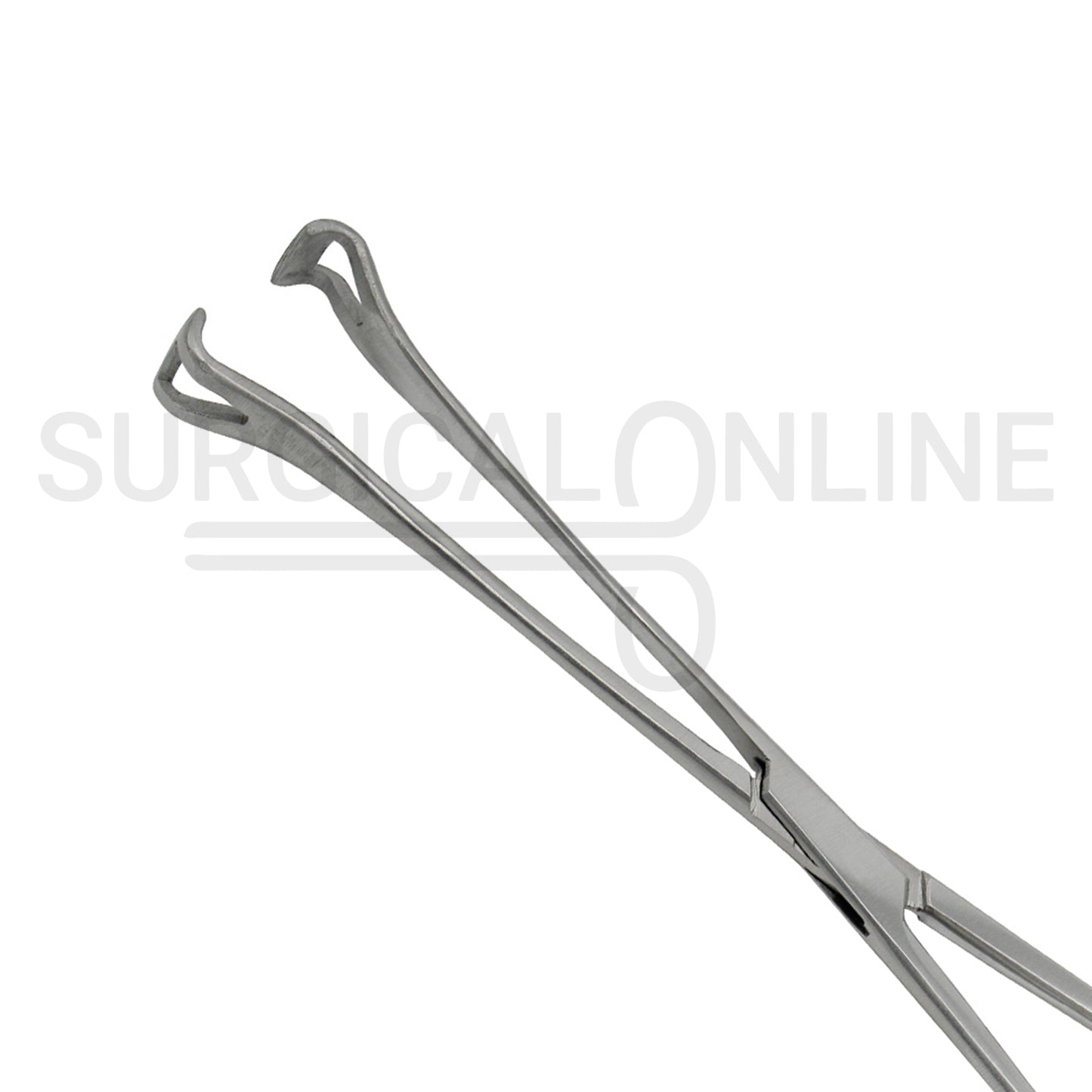 Babcock Intestinal Tissue Forceps 10.00"