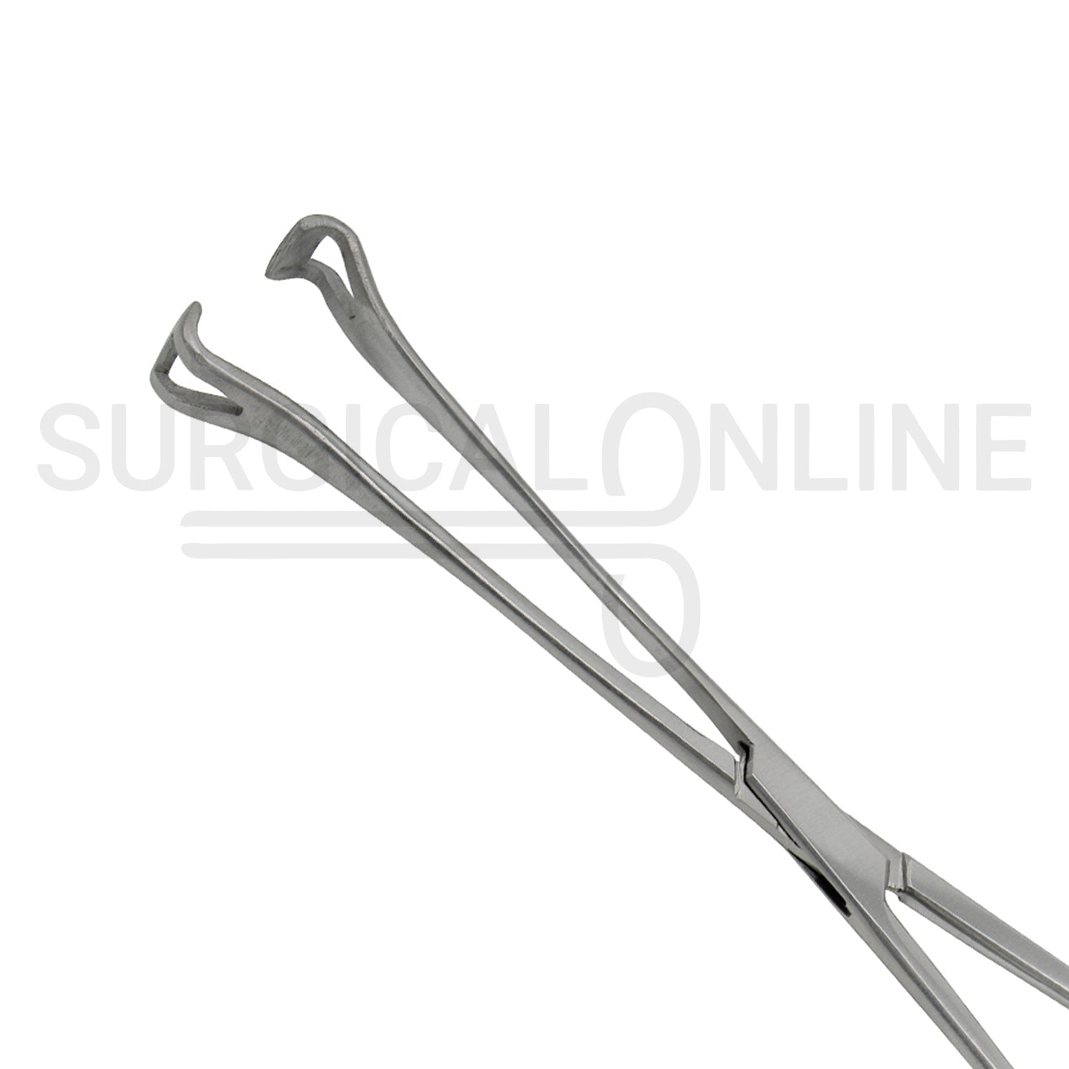 Babcock Intestinal Tissue Forceps 10.00"
