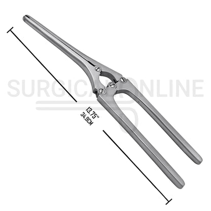 Payr Pylorus Clamps 13.75"