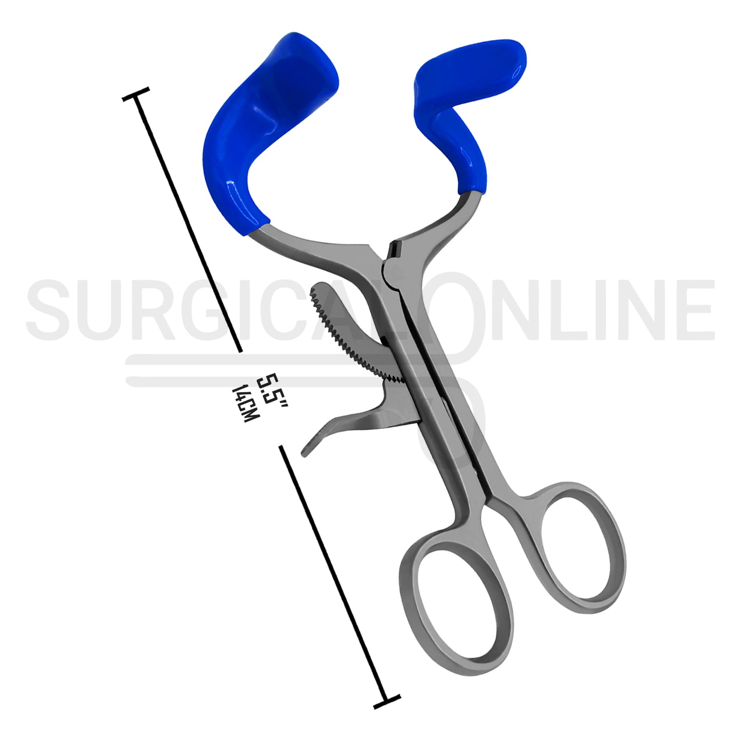 Molt Mouth Gag 5.5″ Adult With Blue PVC Tip