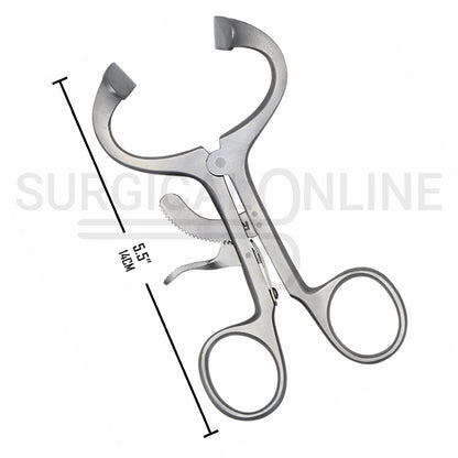 Molt Mouth Gag Retractor 5.5″ Curved Blades Adult