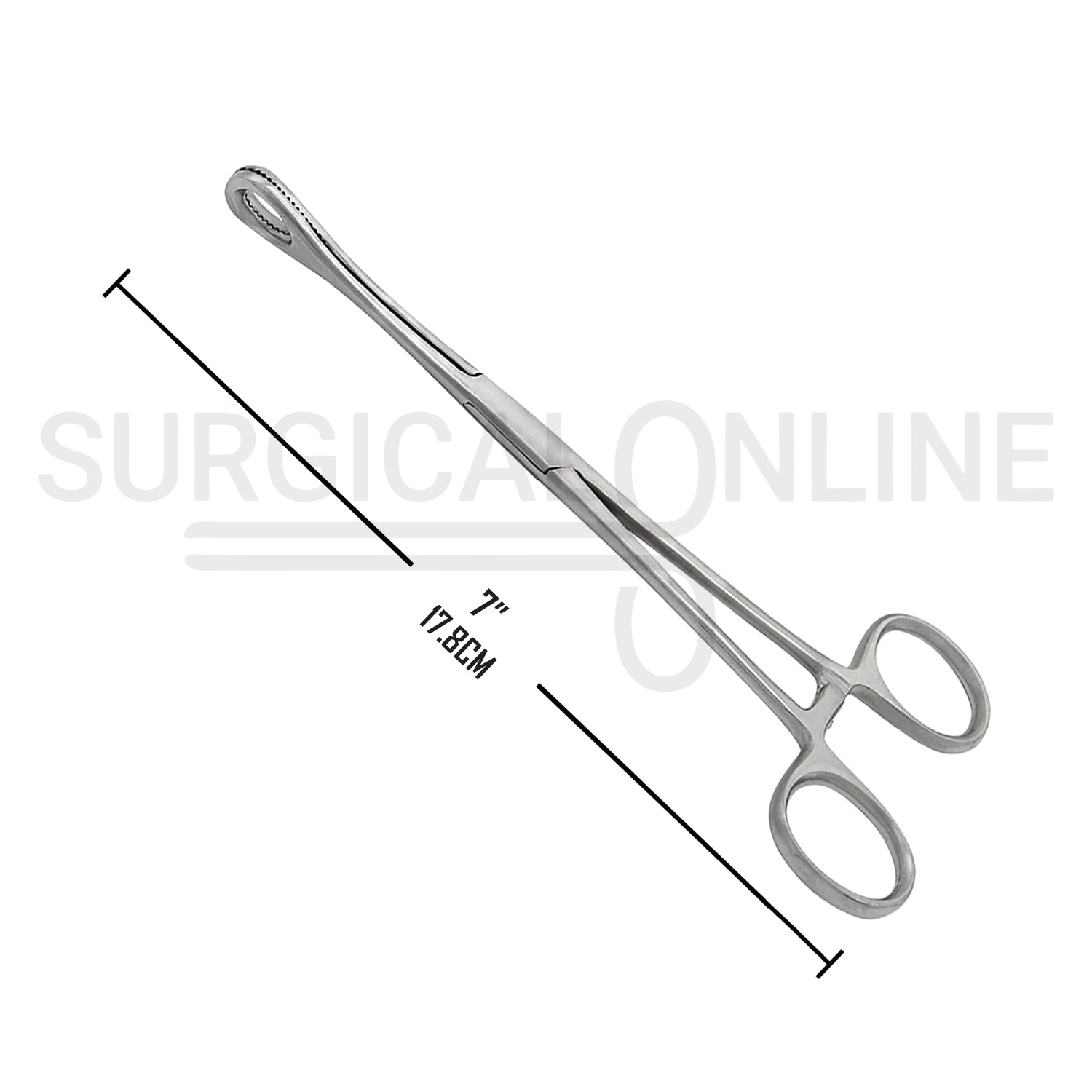 Foerster Sponge Forceps Serrated Straight 7.00"