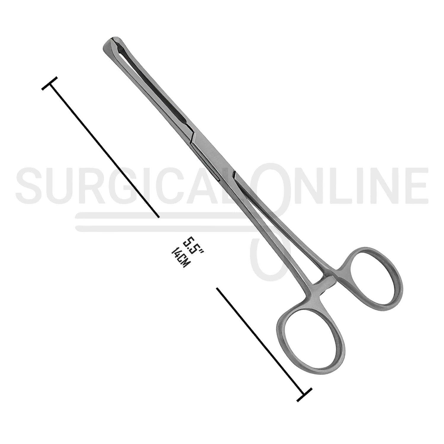 Allis Tissue Forceps 2X3 Teeth 5.50"