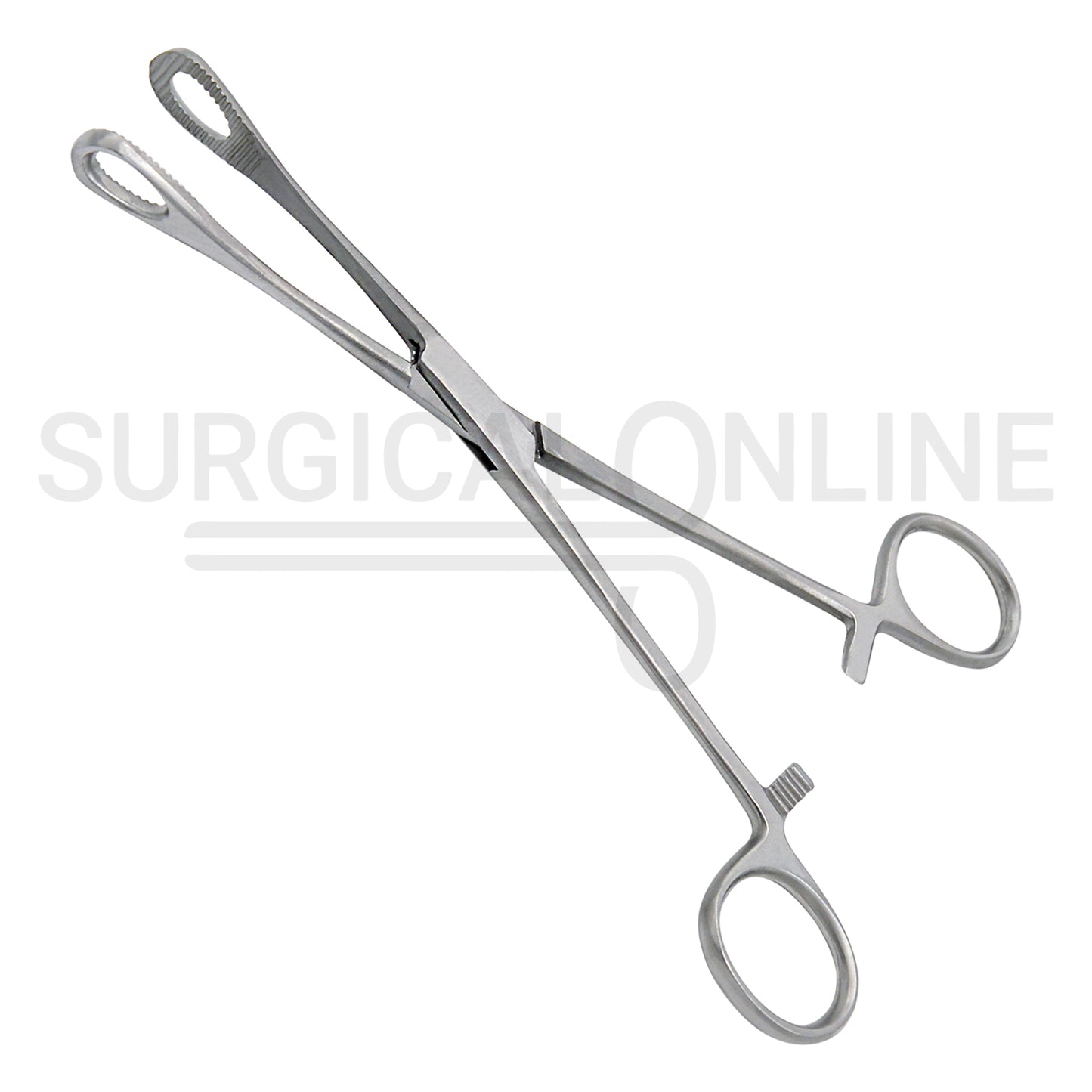 Foerster Sponge Forceps Serrated Straight 9.50"