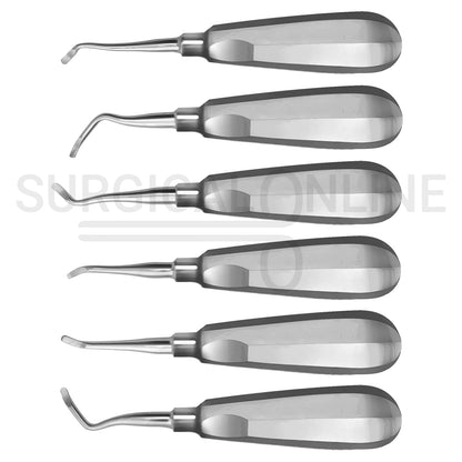 6 Pcs Miller Dental Elevators East, West, Right & Left Rounded Blade Set