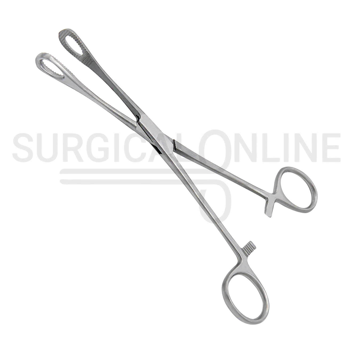 Foerster Sponge Forceps Serrated Straight 7.00"