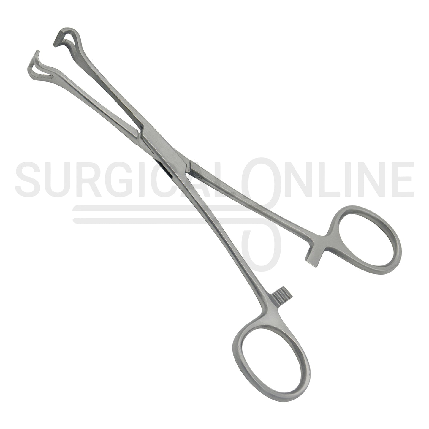 Babcock Instestinal Tissue Forceps 8.25"