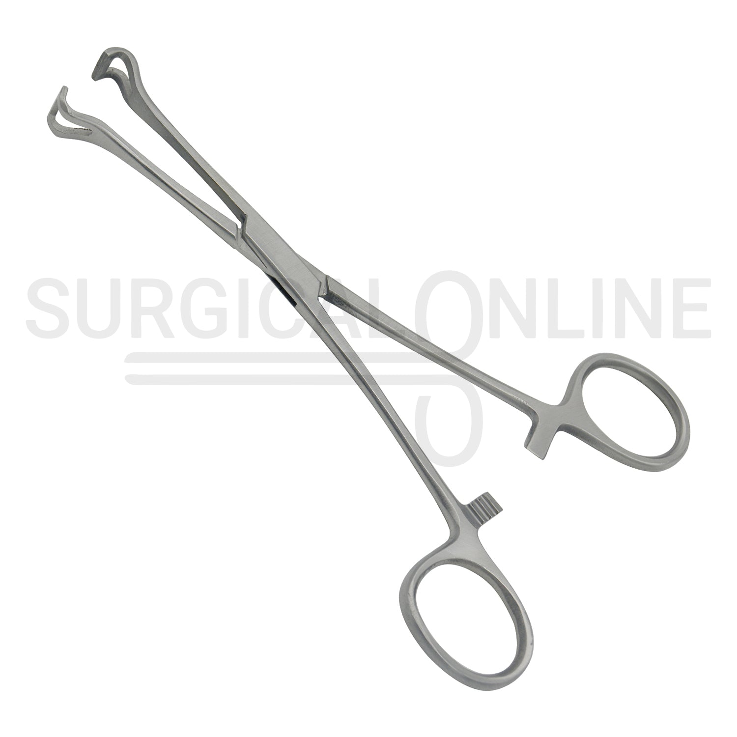 Babcock Instestinal Tissue Forceps 8.25"
