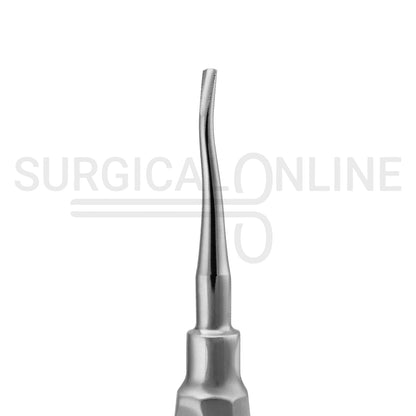 Root Elevator #77R 6″ Serrated Tip End