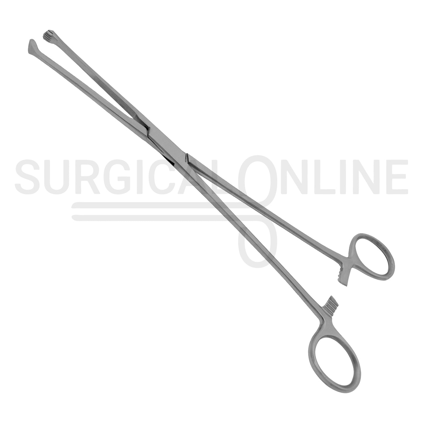 Allis Tissue Forceps 4X5 Teeth 10.00"