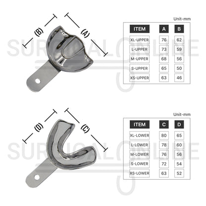 10 Edentulous Dental Impression Trays Solid