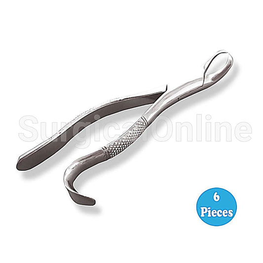 6 Extracting Forceps Dental Surgical 16S