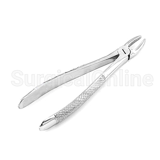 English Extracting Forceps Md2