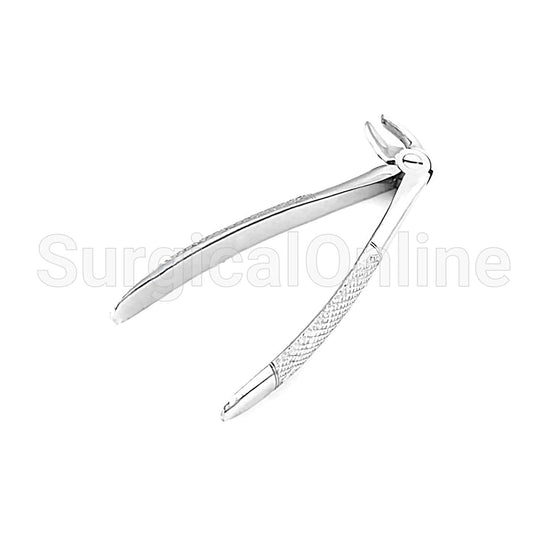 English Extracting Forceps Md3
