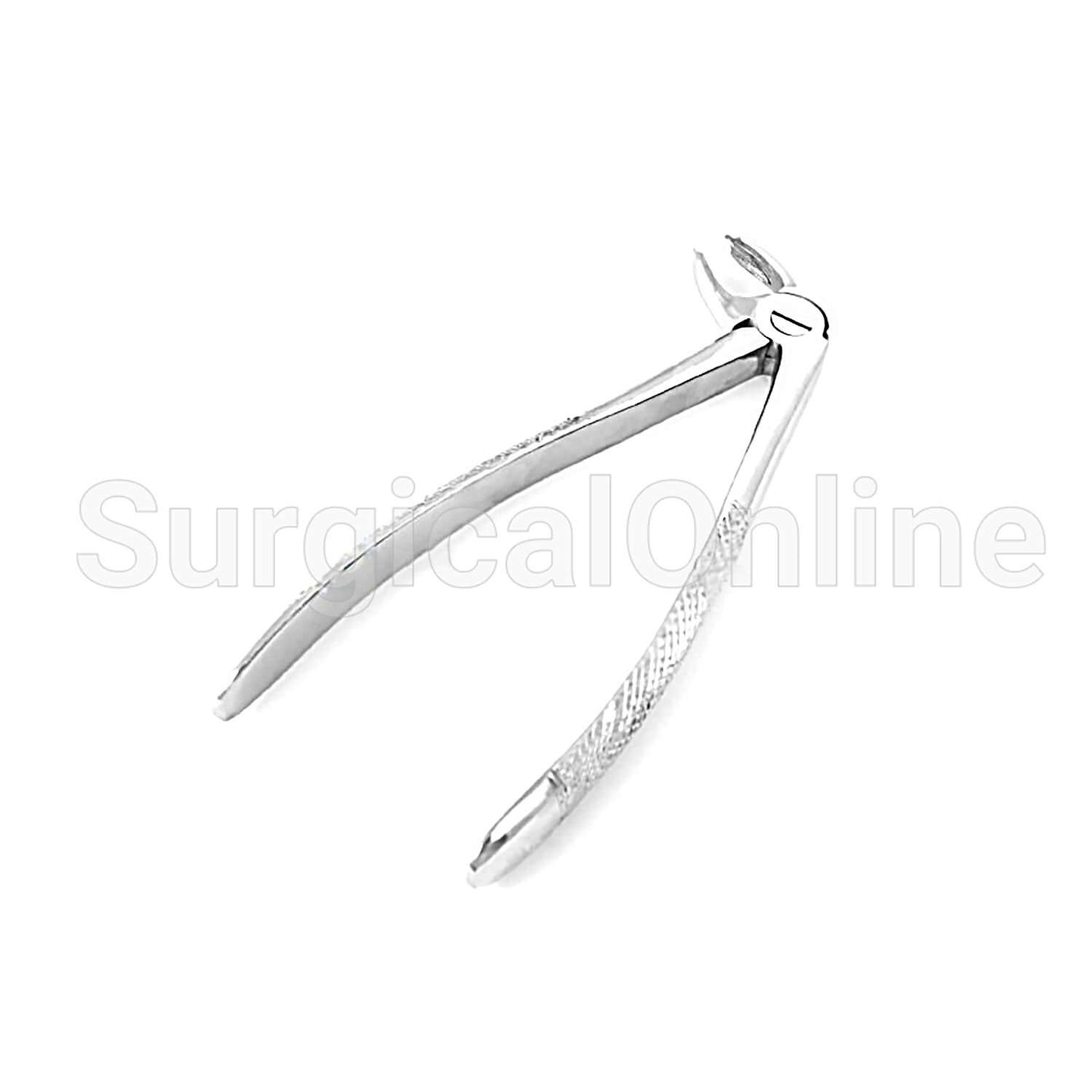 English Extracting Forceps No. 24