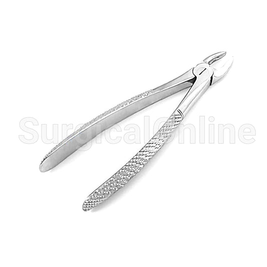English Extracting Forceps No. 29S