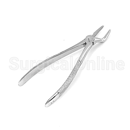 English Extracting Forceps No. 51