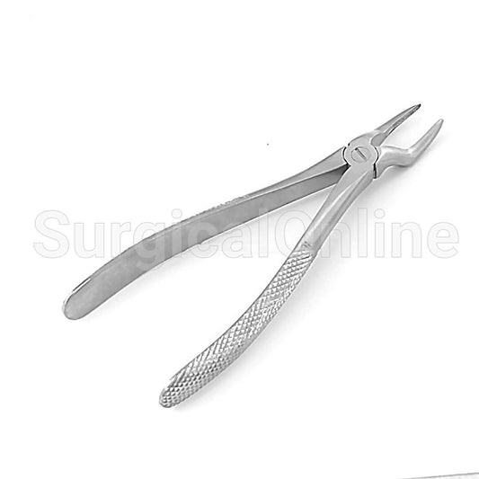 English Extracting Forceps No. 51A