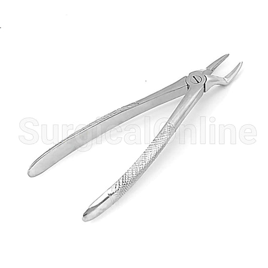 English Extracting Forceps No. 51L