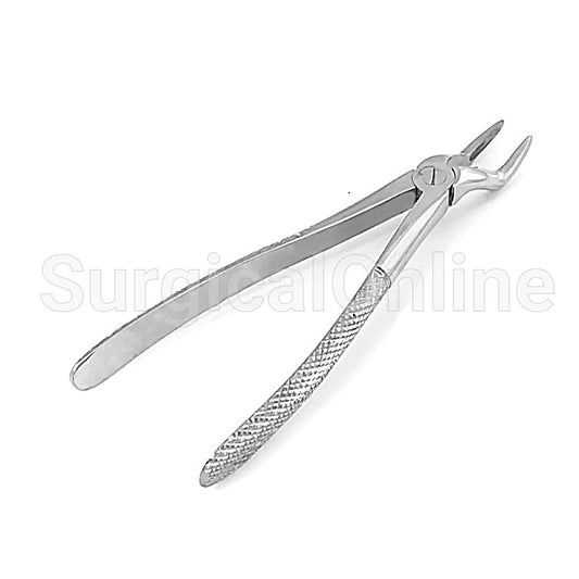 English Extracting Forceps No. 51S