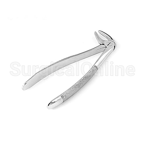 English Extracting Forceps No.33 M
