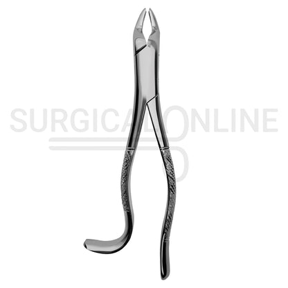 American Pattern Dental Extracting Forceps No. 10H