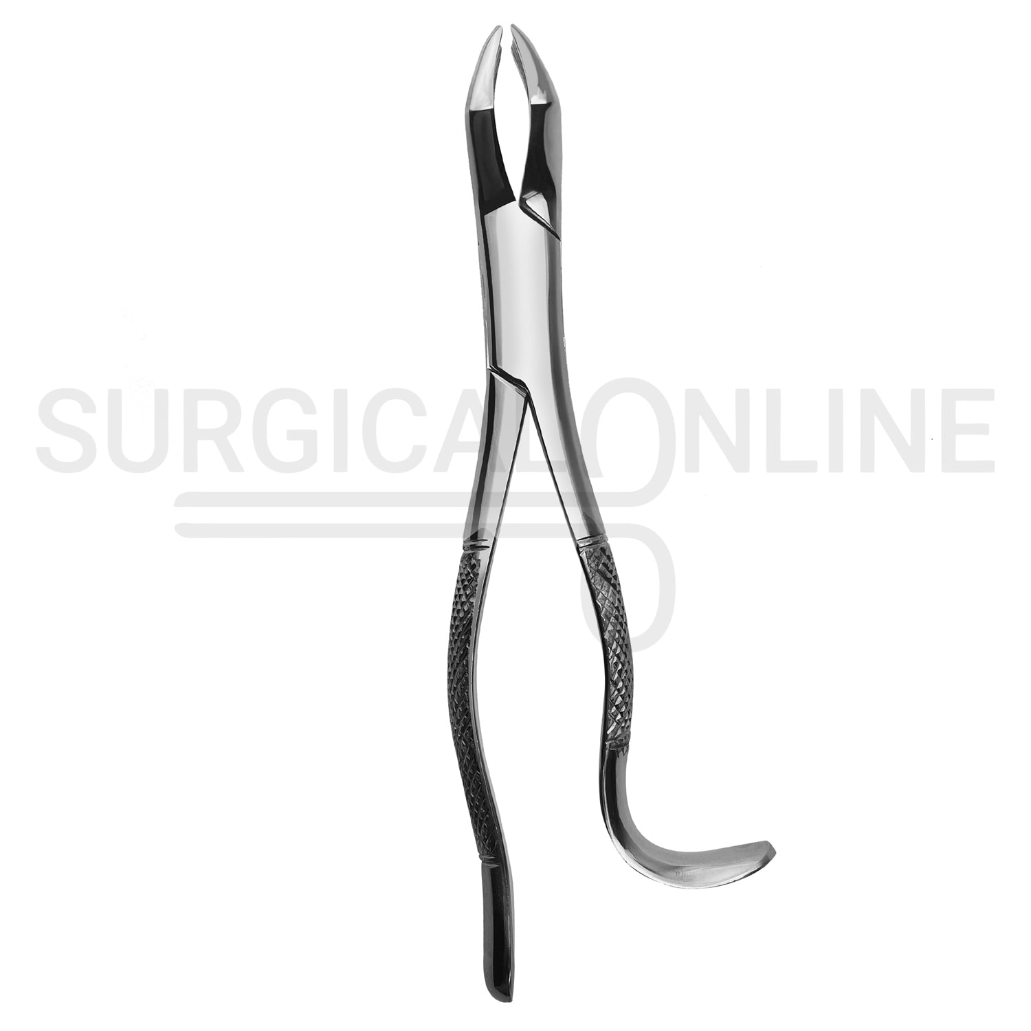 American Pattern Dental Extracting Forceps No. 10H