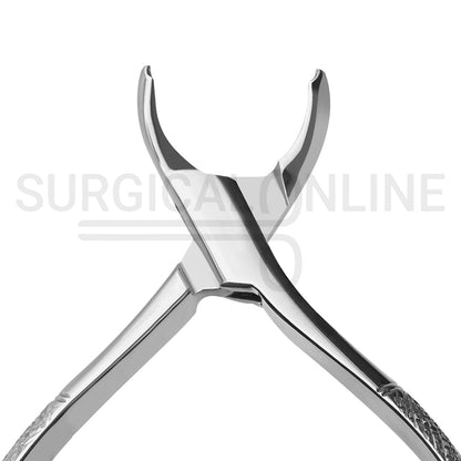 American Pattern Dental Extracting Forceps No. 10H