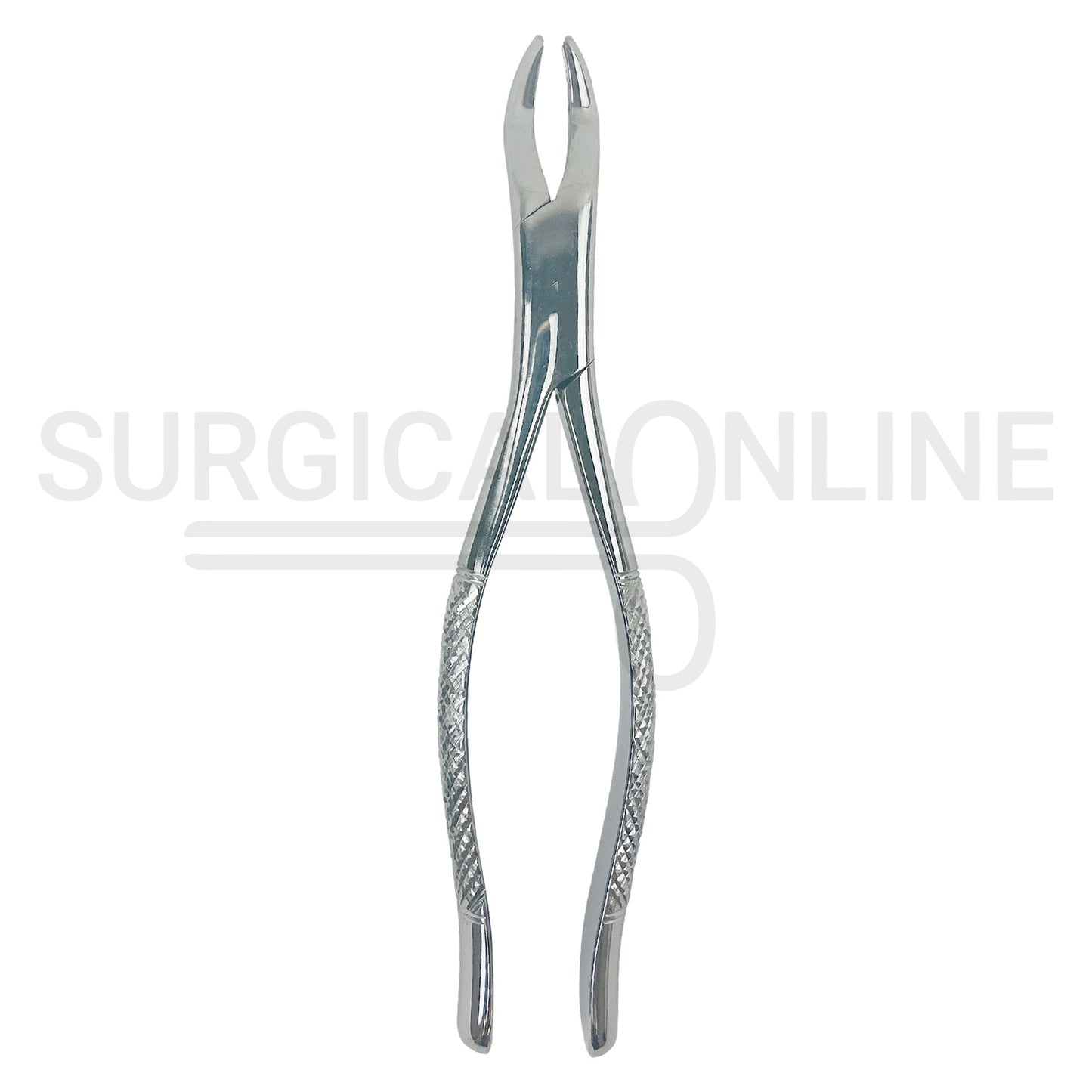American Extracting Forceps No. 10S