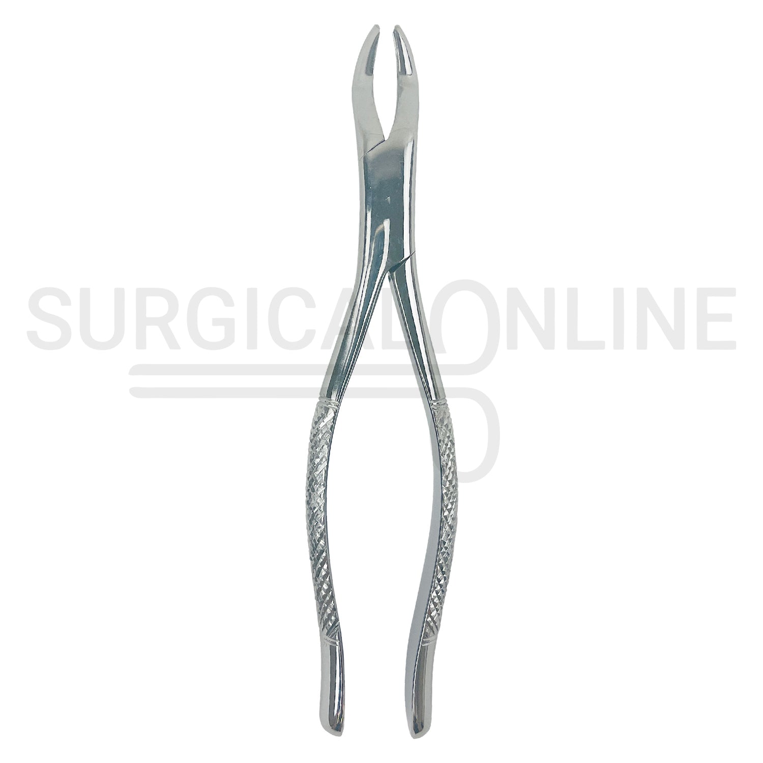American Extracting Forceps No. 10S