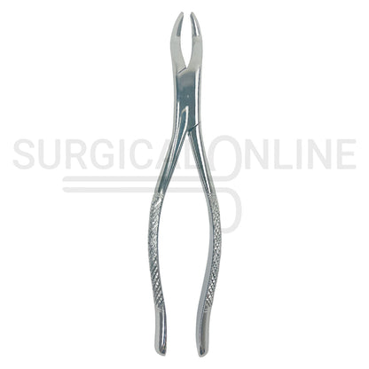 American Extracting Forceps No. 10S
