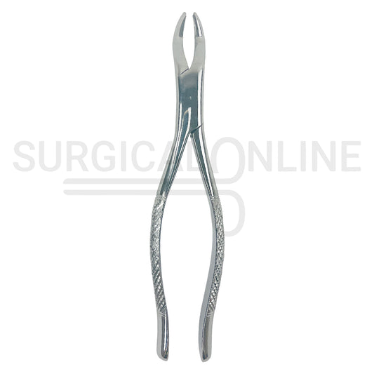 American Extracting Forceps No. 10S