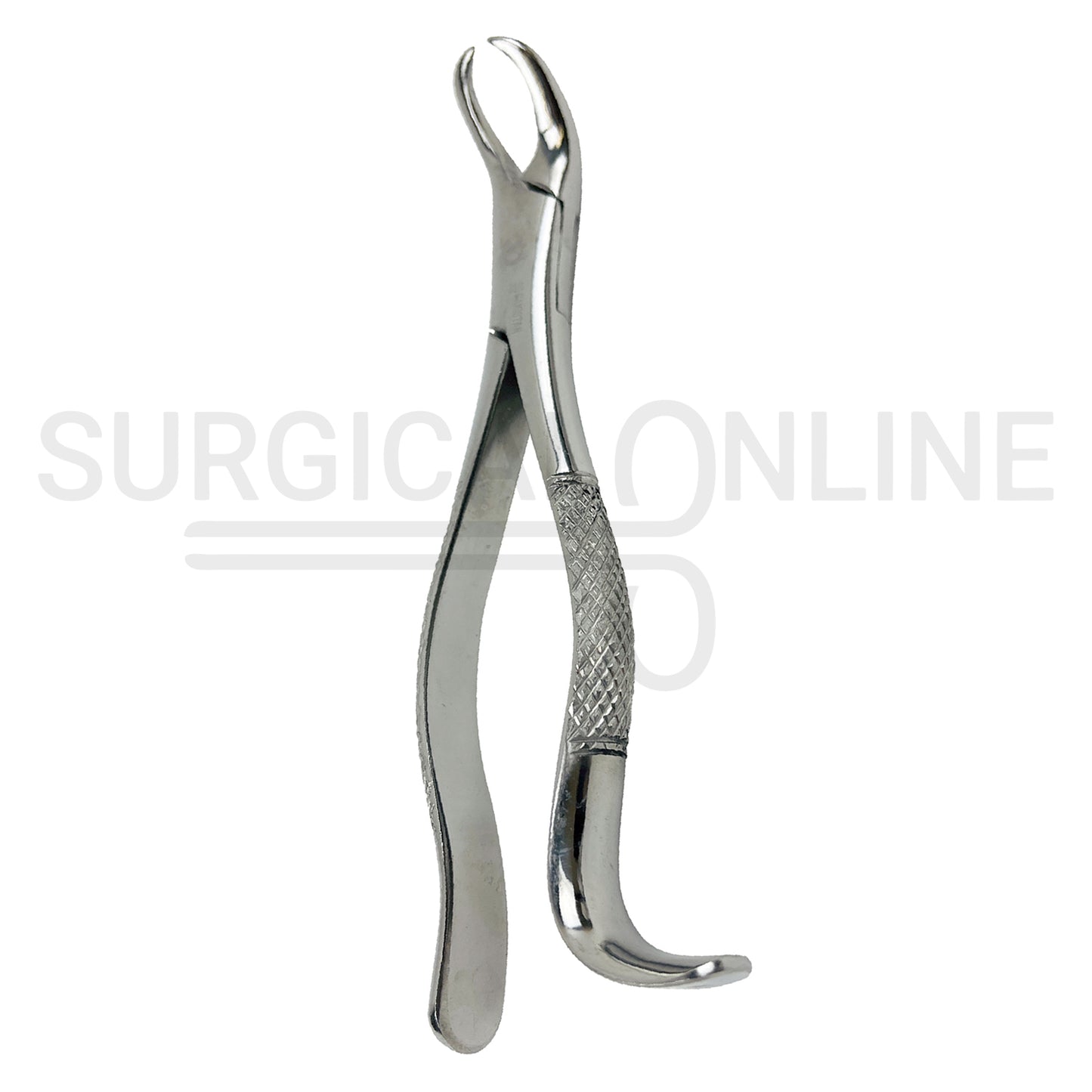 American Extracting Forceps #16