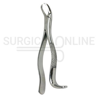 American Extracting Forceps #16