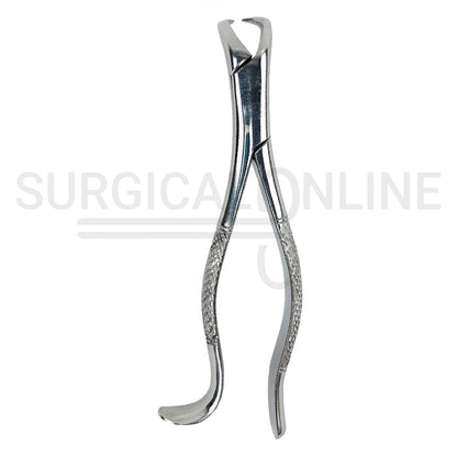 American Extracting Forceps #16