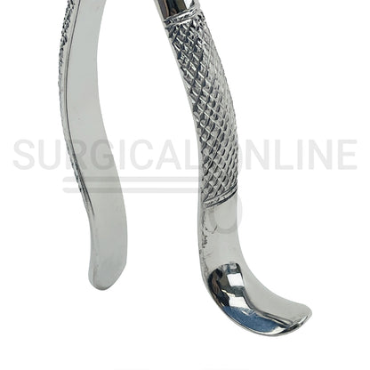 American Extracting Forceps #16