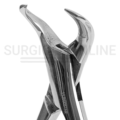 American Extracting Forceps #16