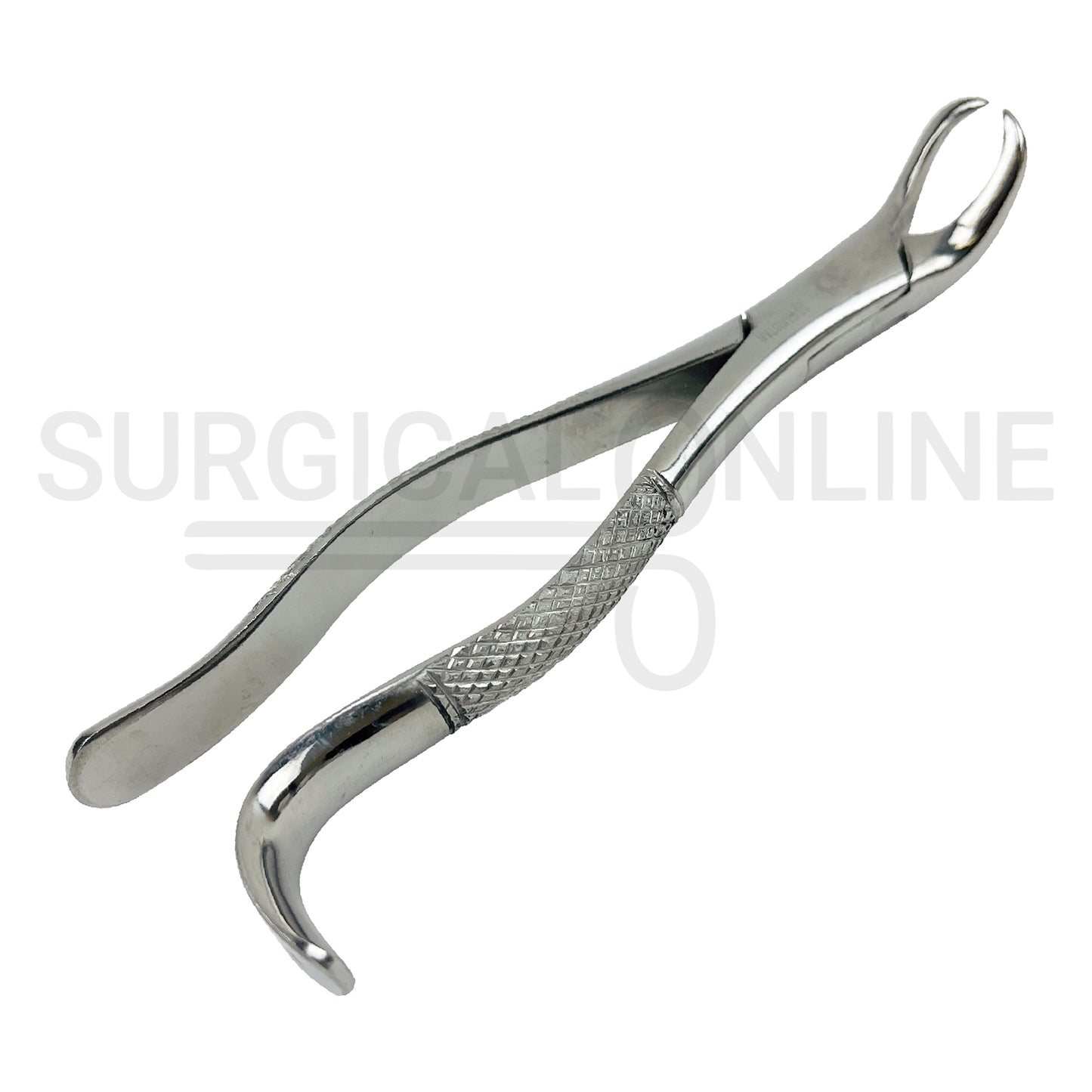 American Extracting Forceps #16