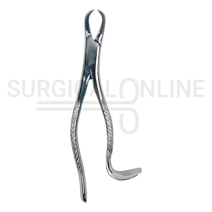 American Pattern Dental Extracting Forceps No. 16S