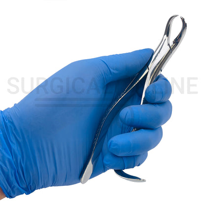 American Pattern Dental Extracting Forceps No. 16S