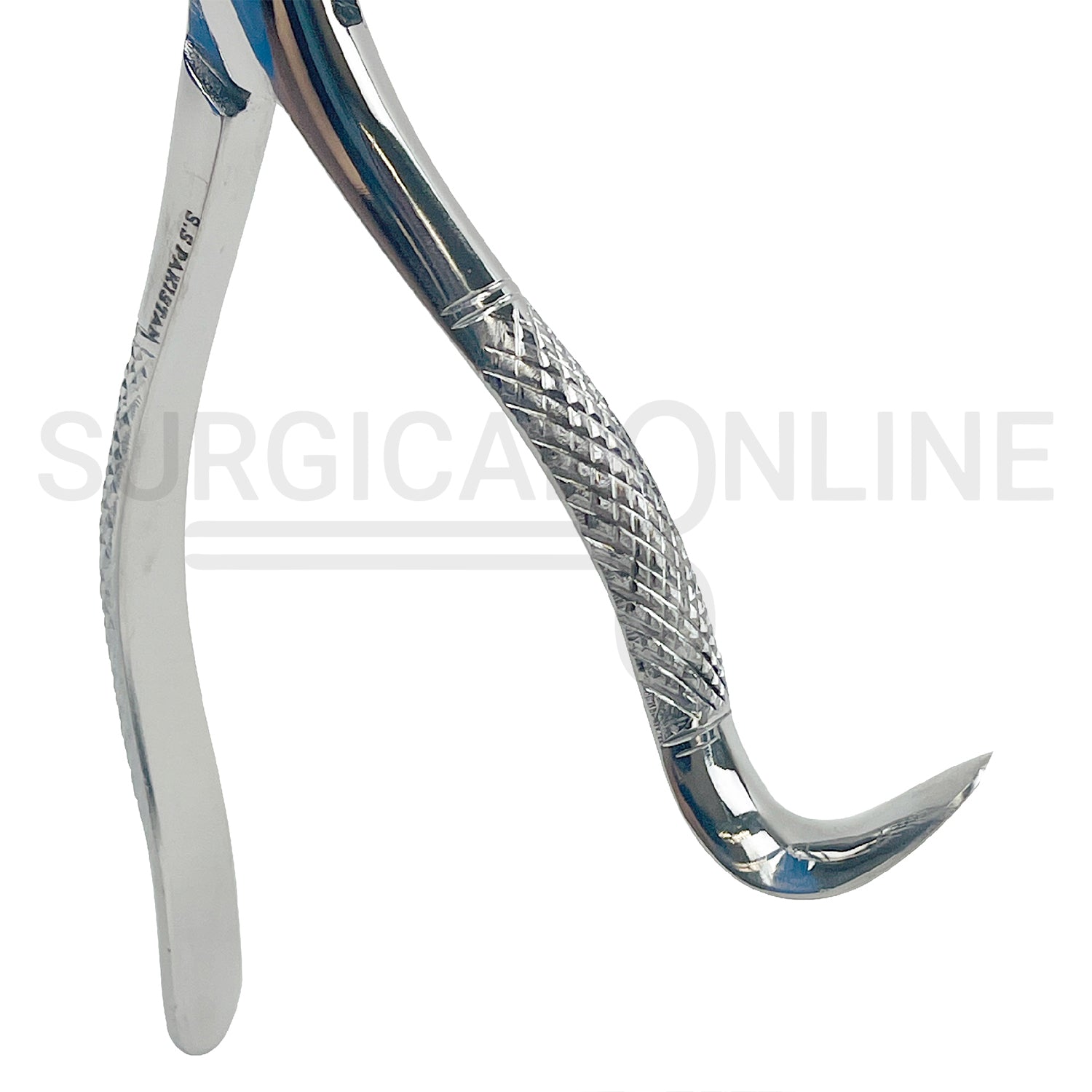 American Pattern Dental Extracting Forceps No. 16S